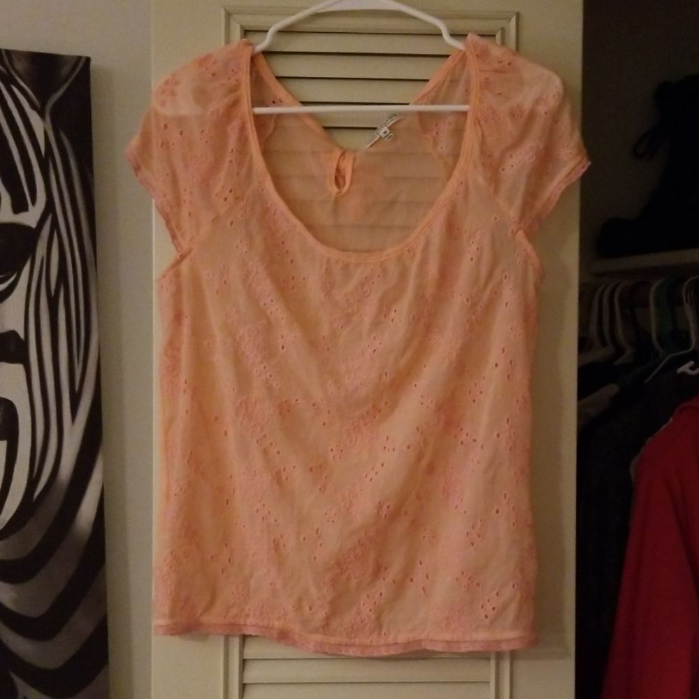 Poof Light Pink Sheer Short Sleeve Blouse M